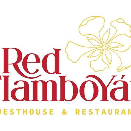 Red Flamboyan Guesthouse And Restaurant Rincón Exterior foto