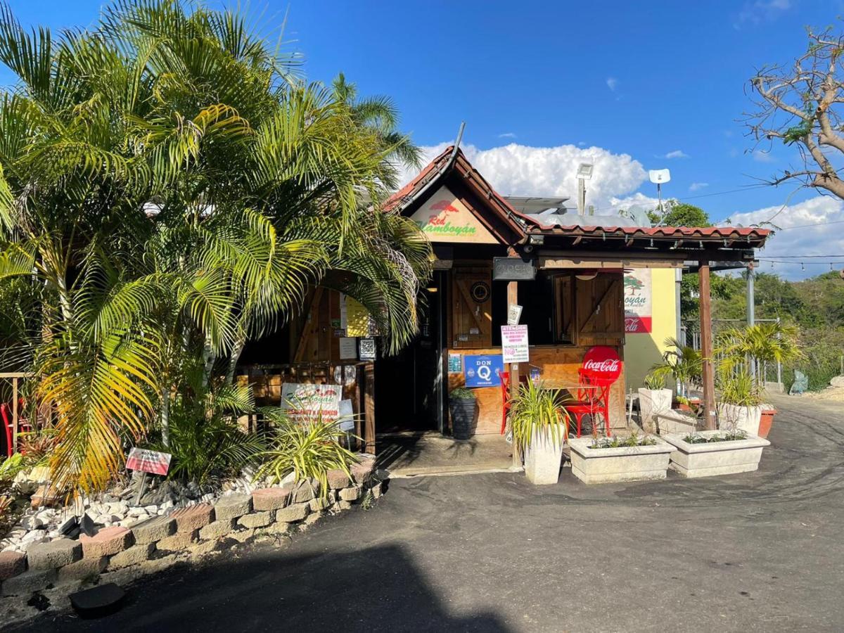 Red Flamboyan Guesthouse And Restaurant Rincón Exterior foto