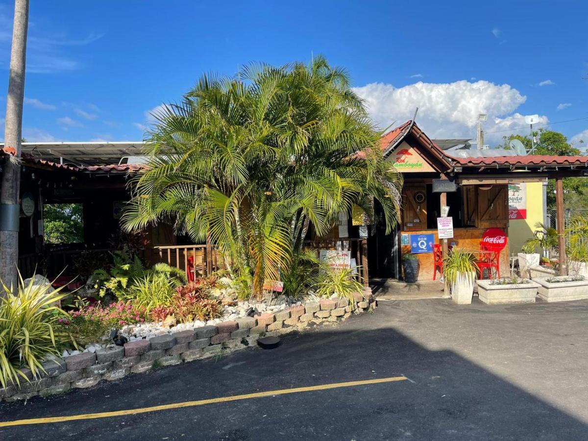 Red Flamboyan Guesthouse And Restaurant Rincón Exterior foto
